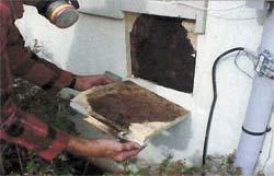 Mold behind wood sheathing on a synthetic stucco home